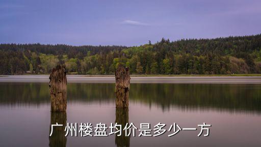 廣州樓盤均價是多少一方