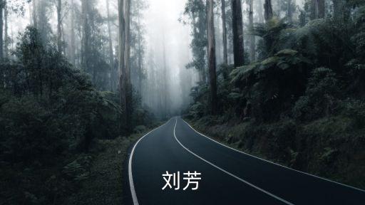 深圳市住房保障署劉芳，劉芳