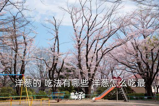  洋蔥的 吃法有哪些 洋蔥怎么吃最好
