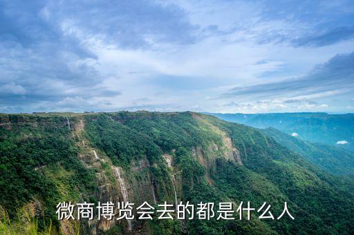 微商博覽會去的都是什么人