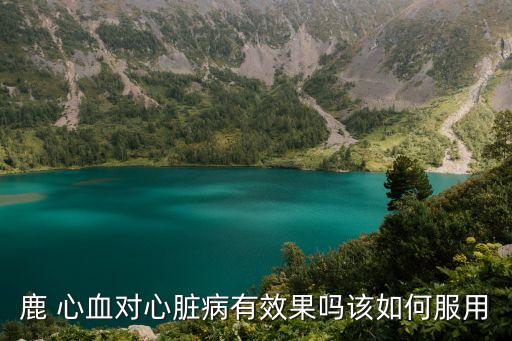鹿心血的功效與作用及食用方法,鹿心怎么吃對心臟好