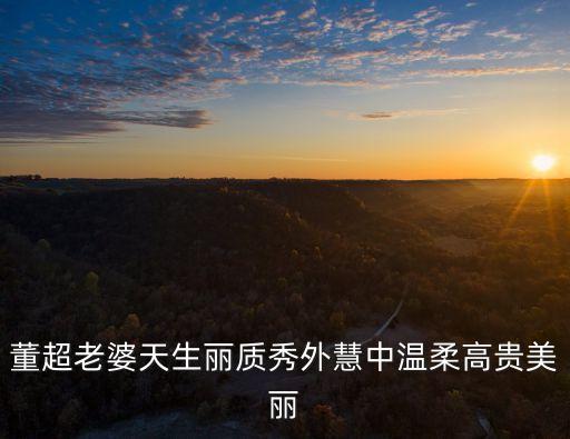 董超老婆天生麗質(zhì)秀外慧中溫柔高貴美麗
