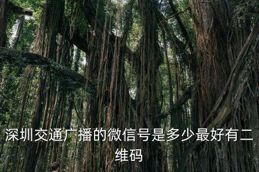 關注深圳新聞的微信號，深圳交通廣播的微信號是多少最好有二維碼
