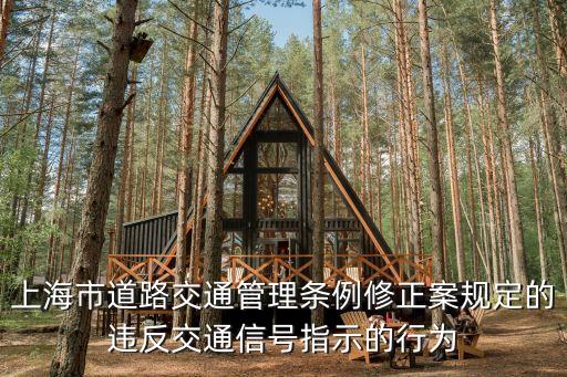 上海市道路交通管理?xiàng)l例修正案規(guī)定的違反交通信號指示的行為