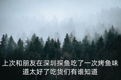 上次和朋友在深圳探魚吃了一次烤魚味道太好了吃貨們有誰知道