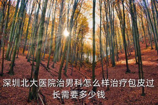 深圳北大醫(yī)院怎么加號(hào)，深圳北大醫(yī)院網(wǎng)上怎么樣掛號(hào)
