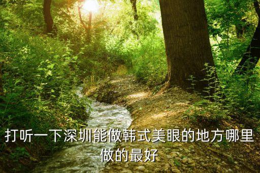 打聽一下深圳能做韓式美眼的地方哪里做的最好