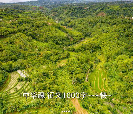  中華魂 征文1000字~~~快~~~