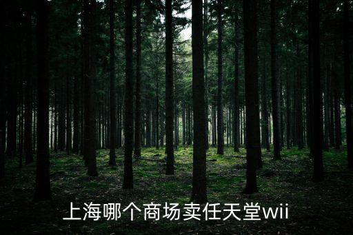 上海市任天堂游戲機專賣實體店，上海哪有任天堂的游戲機賣