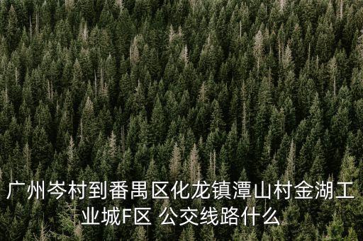 廣州岑村到番禺區化龍鎮潭山村金湖工業城F區 公交線路什么