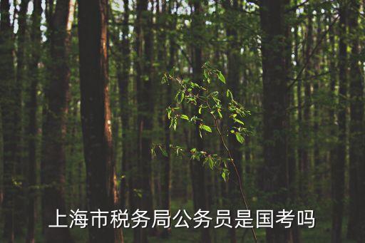 上海市稅務局公務員是國考嗎