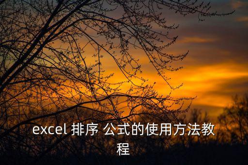 excel 排序 公式的使用方法教程