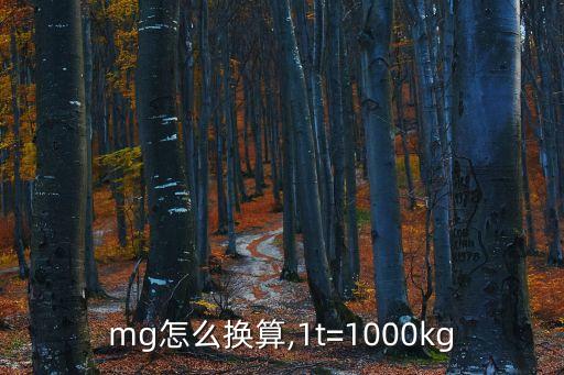 g與mg怎么換算,1t=1000kg