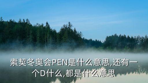 索契冬奧會PEN是什么意思,還有一個(gè)D什么,都是什么意思