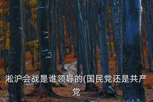 血戰(zhàn)淞滬,血肉磨坊之戰(zhàn)序幕