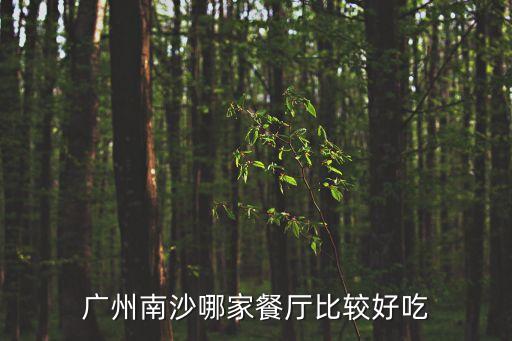 廣州南沙哪家餐廳比較好吃