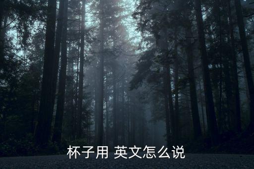 獎杯的英文,她贏得了獎杯的英文