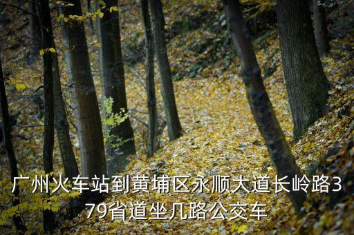 廣州火車站到黃埔區永順大道長嶺路379省道坐幾路公交車
