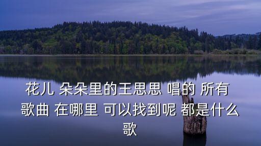 花兒 朵朵里的王思思 唱的 所有 歌曲 在哪里 可以找到呢 都是什么歌