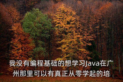 我沒有編程基礎的想學習Java在廣州那里可以有真正從零學起的培