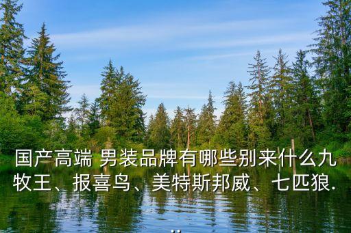 迪賽男裝,鑒別diesel迪賽真假男裝七匹狼男裝