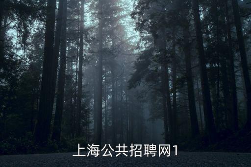 上海公共招聘網(wǎng)1