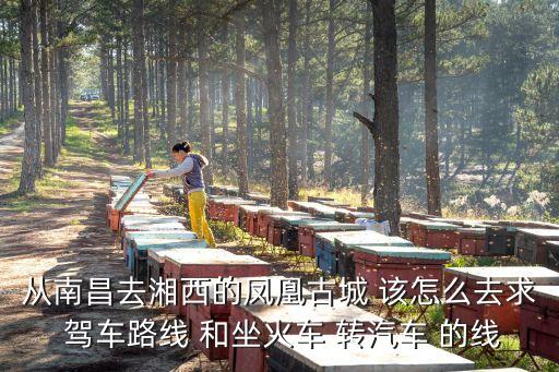 趕集網順風車廣州，包車長沙至廣州多少錢