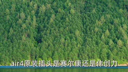 賽爾康技術深圳有限公司的蘋果插頭，air4原裝插頭是賽爾康還是偉創力