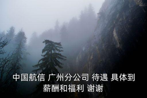 中國航信 廣州分公司 待遇 具體到薪酬和福利 謝謝
