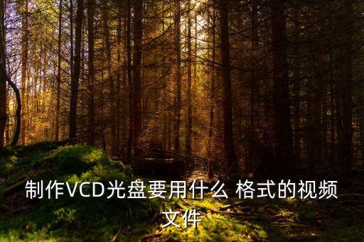 vcd格式,VCD格式的視頻怎么播放