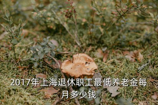 2017年上海退休職工最低養老金每月多少錢