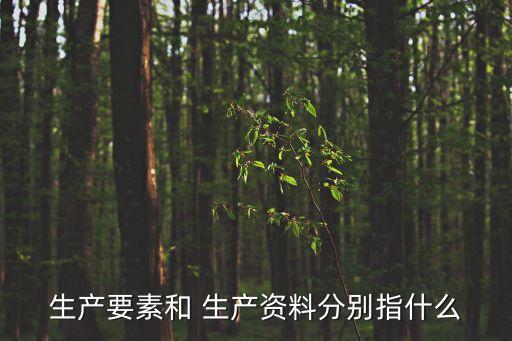 什么叫生產(chǎn)資料,生產(chǎn)資料即勞動資料是生產(chǎn)力中物質(zhì)因素