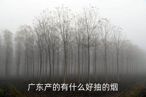 廣東產的有什么好抽的煙