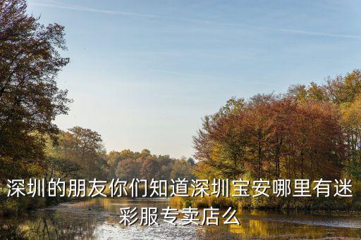 深圳的朋友你們知道深圳寶安哪里有迷彩服專賣店么