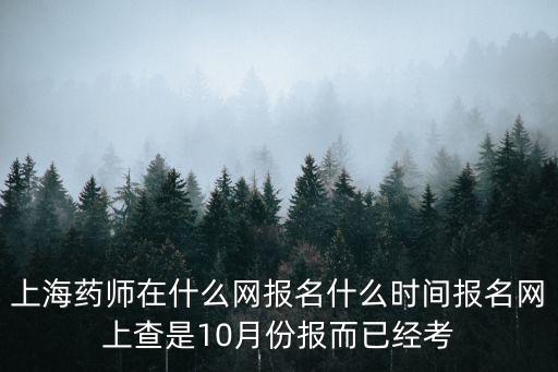 上海市臨床藥師網，2012年上海執業藥師考試網查詢成績入口