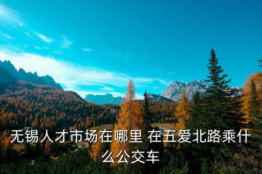 上海市青年英才揚帆計劃 多少錢，上海市青年科技英才揚帆計劃英文怎么寫