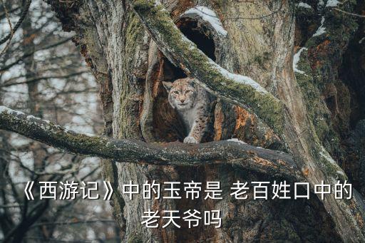 老百姓是天,電影老百姓是天