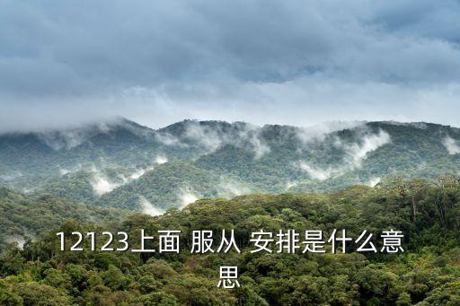 服從安排,服從組織安排還是聽從安排?