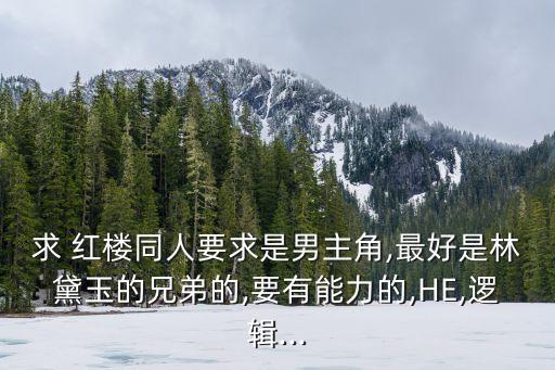 求 紅樓同人要求是男主角,最好是林黛玉的兄弟的,要有能力的,HE,邏輯...