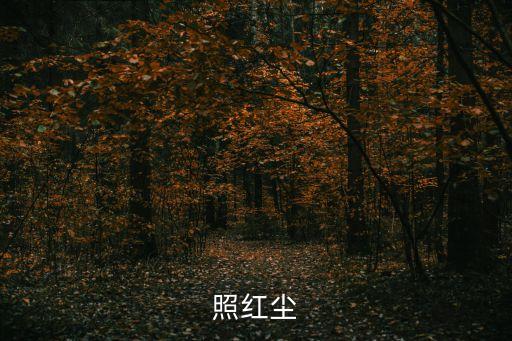 照紅塵