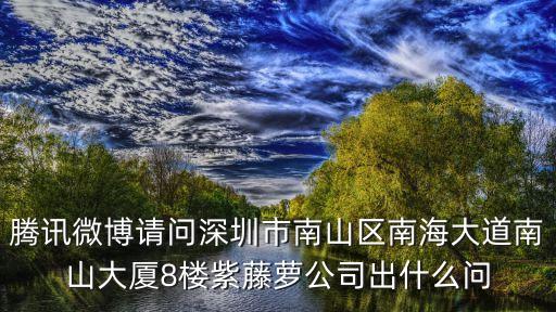 深圳輝輝磊，騰訊微博請問深圳市南山區南海大道南山大廈8樓紫藤蘿公司出什么問