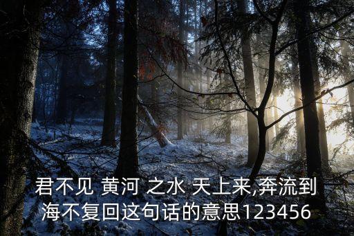 黃河之水天上來下一句,黃河之水天上來下聯是什么?