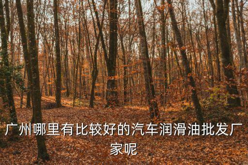 廣州哪里有比較好的汽車潤滑油批發(fā)廠家呢
