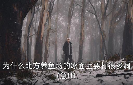 為什么北方養魚場的冰面上要打很多洞(急!!!