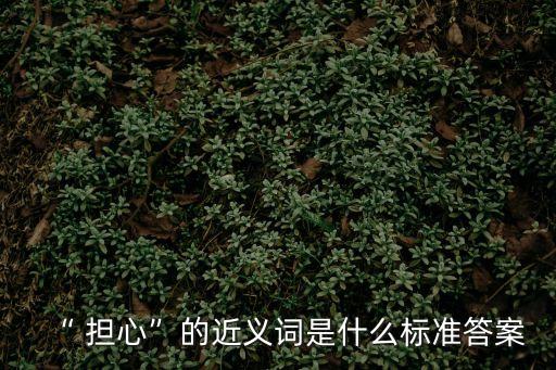 “ 擔心”的近義詞是什么標準答案