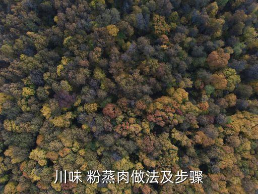 粉蒸,川味香蒸肉做法及步驟