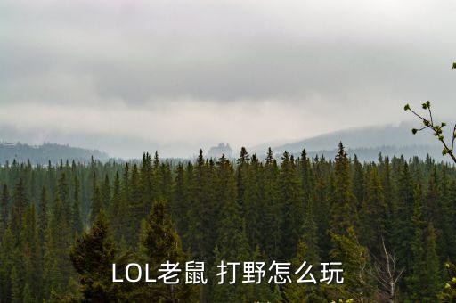 lol打野,打野怎么玩?看情況積極支援