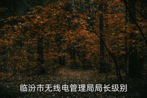 上海市無線電管理局副局長，臨汾市無線電管理局局長級別
