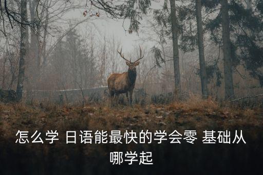 怎么學 日語能最快的學會零 基礎從哪學起