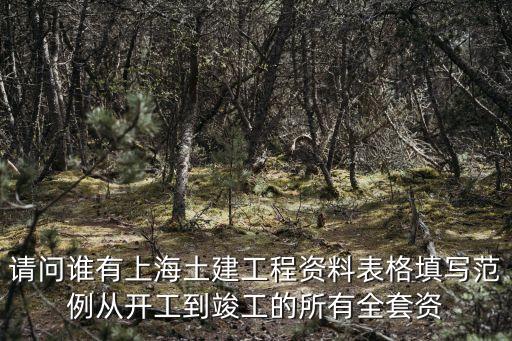 上海市建筑工程兩本臺賬，上海市建筑工程材料臺賬施工單位審核人誰簽字